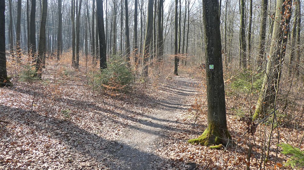Sauerländer Waldroute