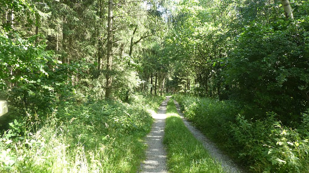 Sauerländer Waldroute