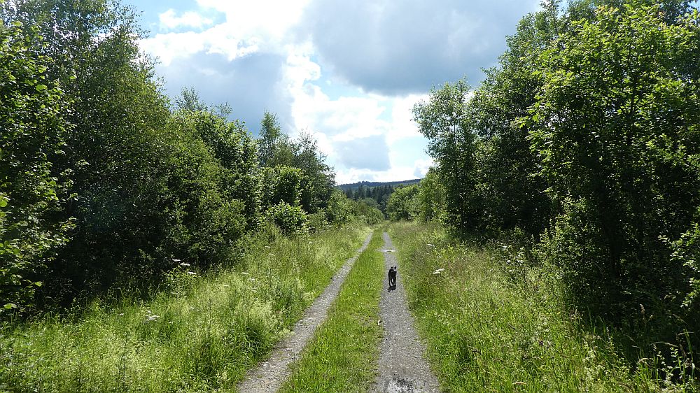 Sauerländer Waldroute