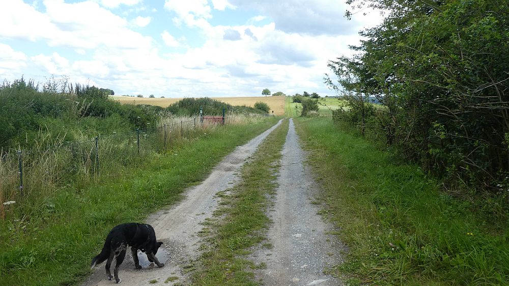 Sauerländer Waldroute