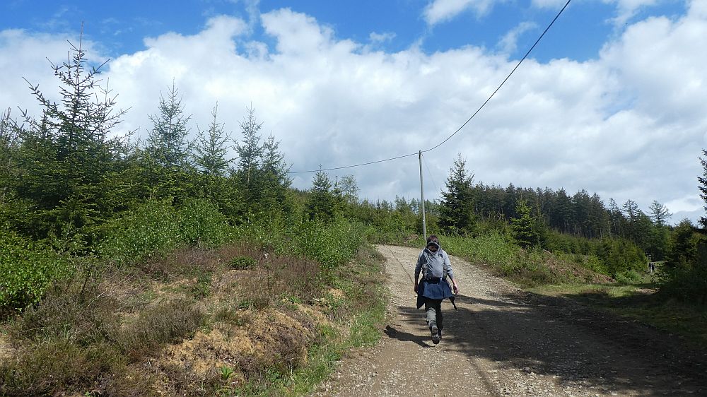 Sauerländer Waldroute