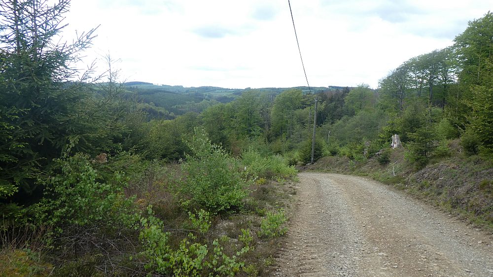 Sauerländer Waldroute
