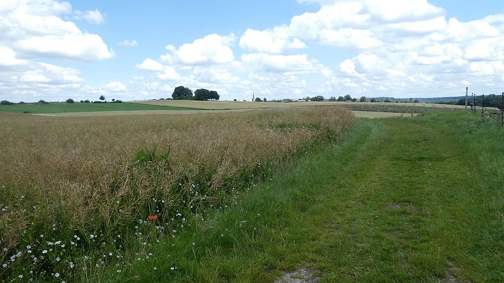 Sauerländer Waldroute