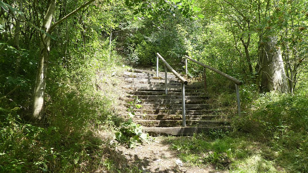 Sauerländer Waldroute