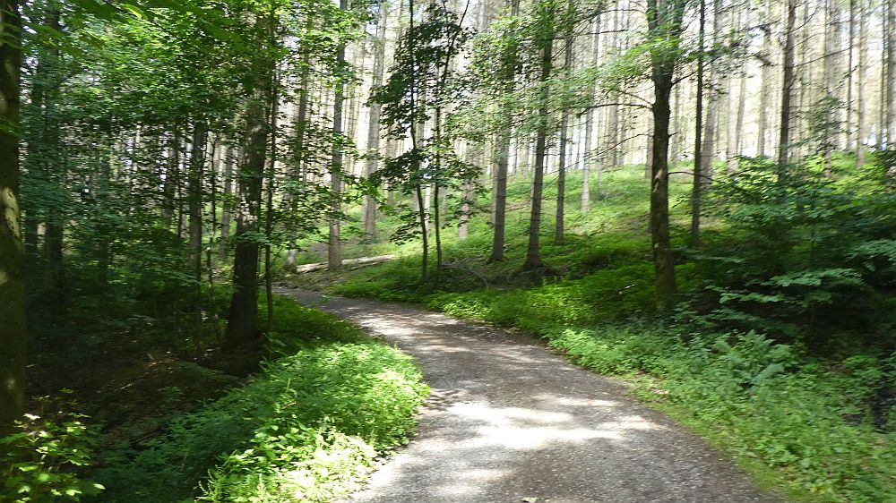 Sauerländer Waldroute