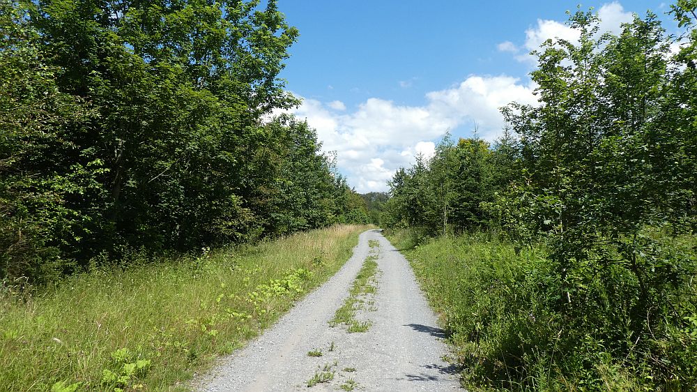 Sauerländer Waldroute