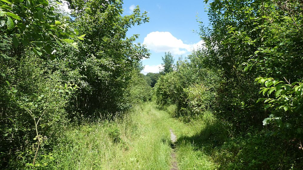 Sauerländer Waldroute