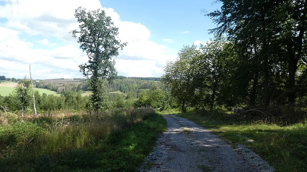 Sauerländer Waldroute