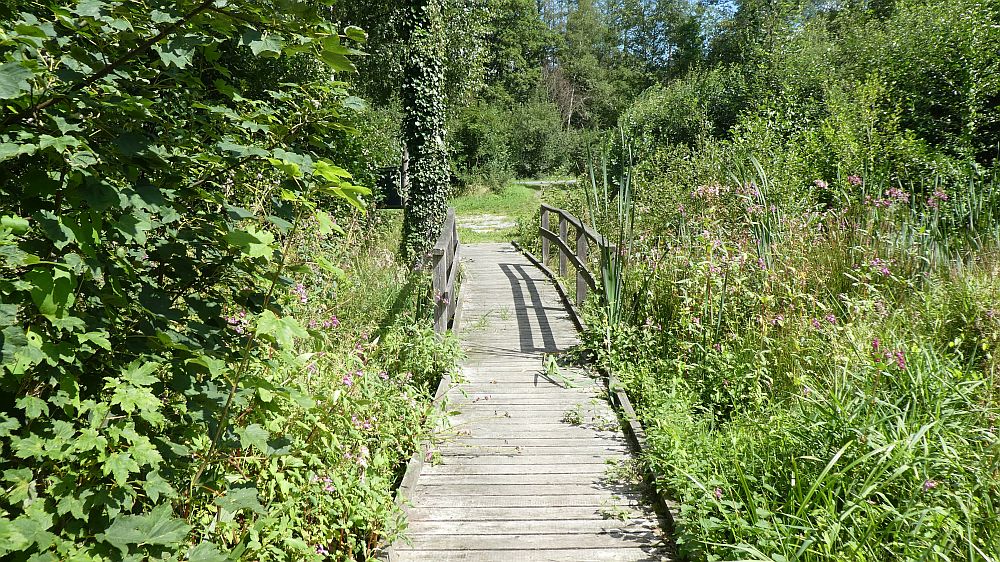 Sauerländer Waldroute