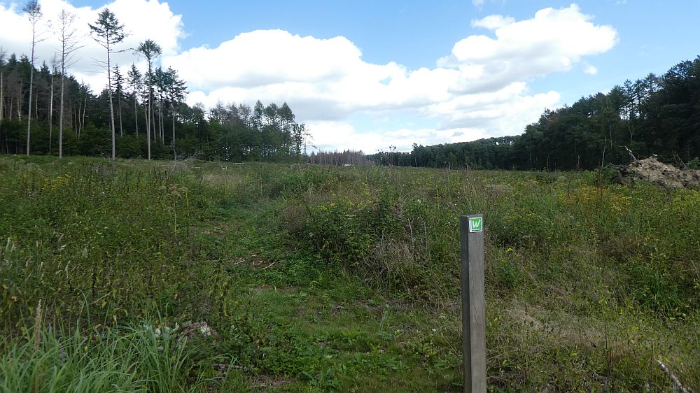 Sauerländer Waldroute