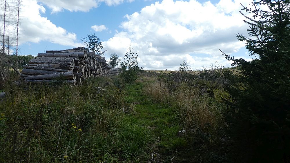 Sauerländer Waldroute