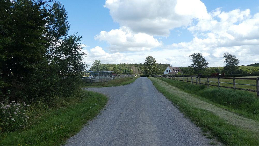 Sauerländer Waldroute