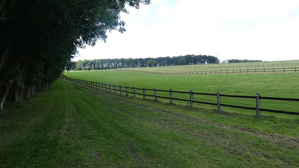Sauerländer Waldroute