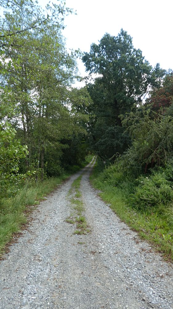 Sauerländer Waldroute