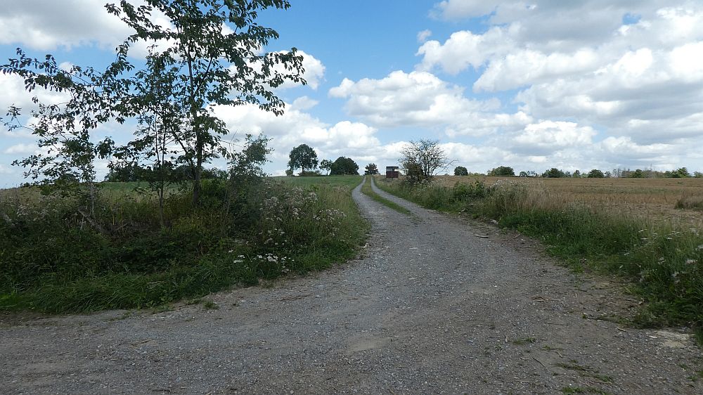 Sauerländer Waldroute