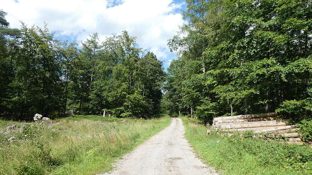 Sauerländer Waldroute