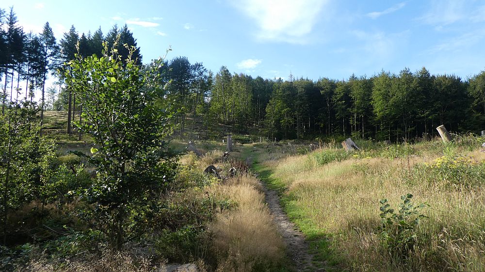 Sauerländer Waldroute