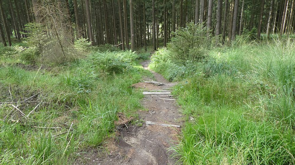 Sauerländer Waldroute