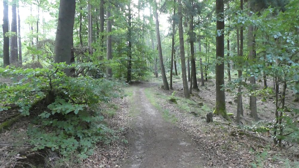 Sauerländer Waldroute