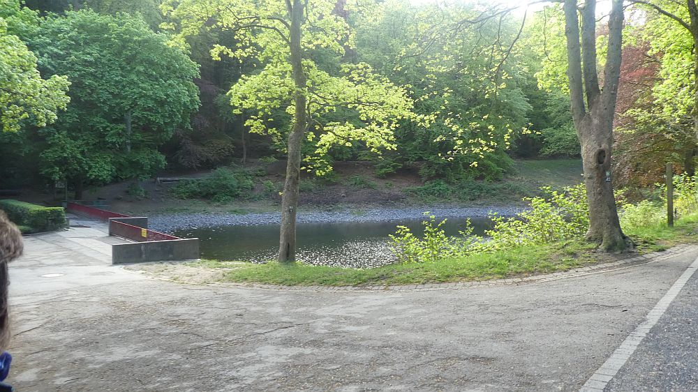 Sauerländer Waldroute