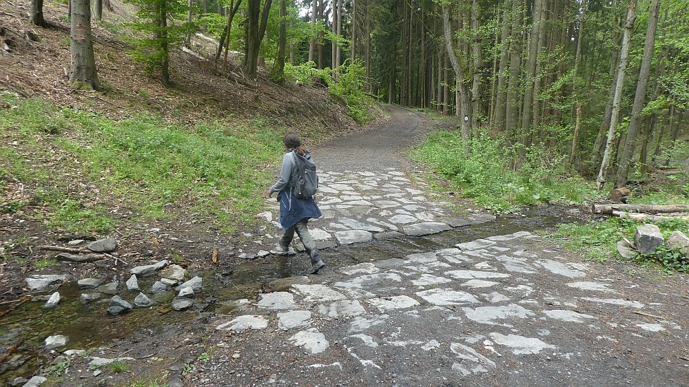 Sauerländer Waldroute