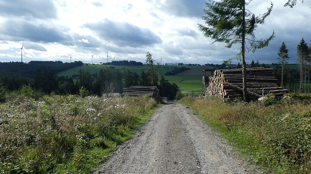 Sauerländer Waldroute