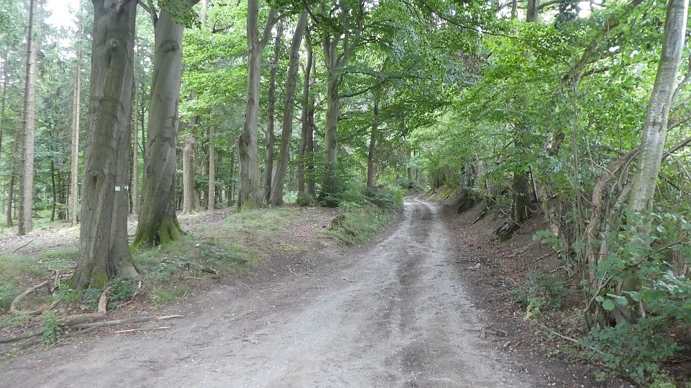 Sauerländer Waldroute