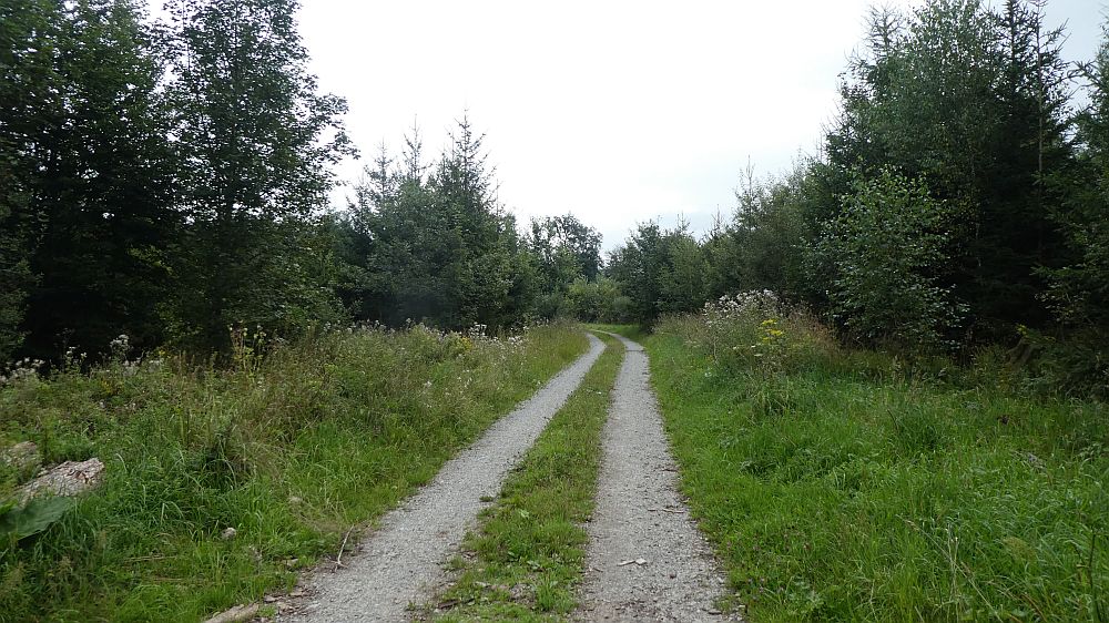 Sauerländer Waldroute
