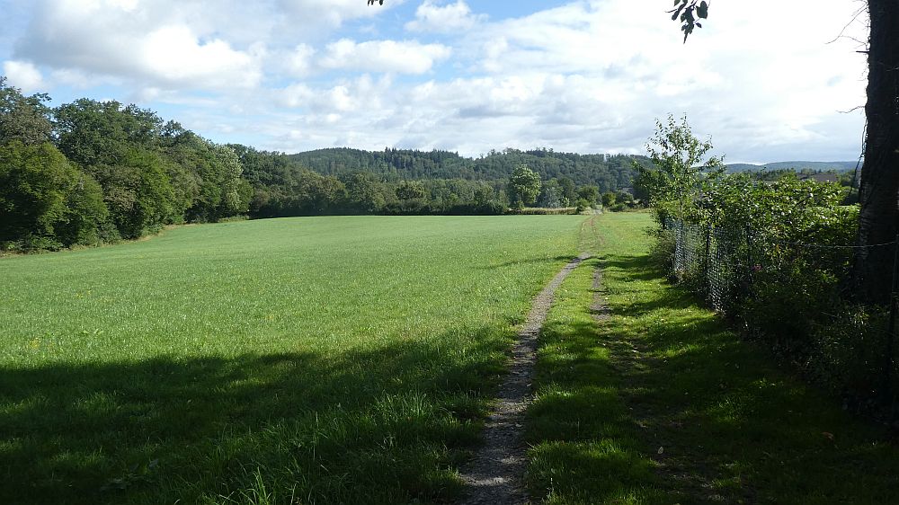 Sauerländer Waldroute