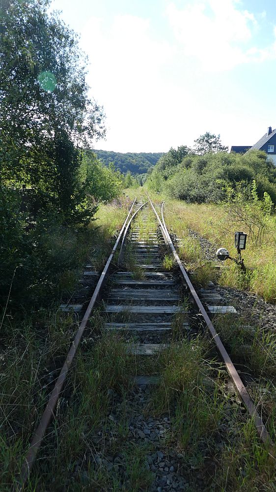 Sauerländer Waldroute