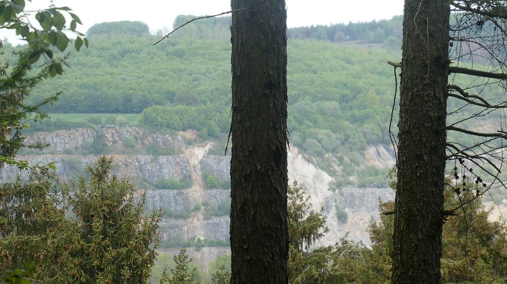 Sauerländer Waldroute