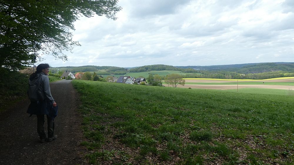 Sauerländer Waldroute
