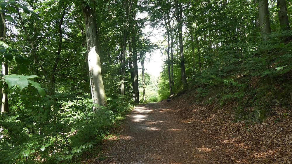 Sauerländer Waldroute
