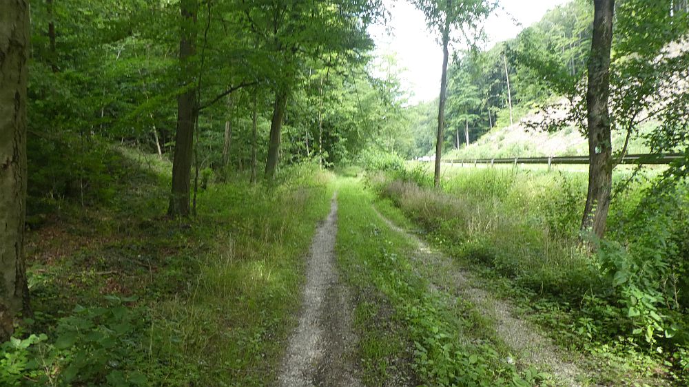 Sauerländer Waldroute