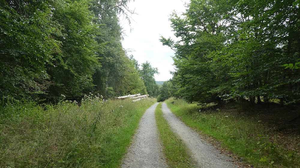 Sauerländer Waldroute