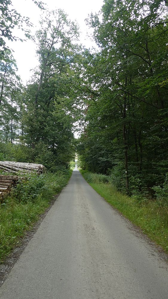 Sauerländer Waldroute