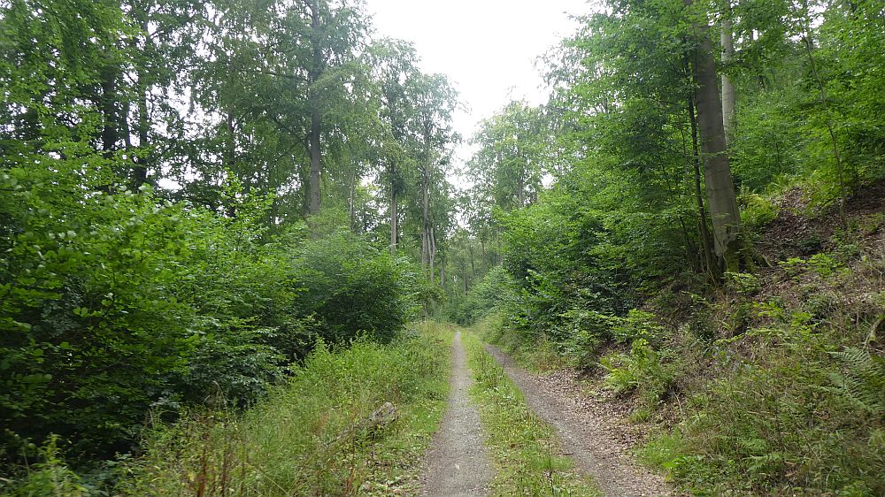 Sauerländer Waldroute