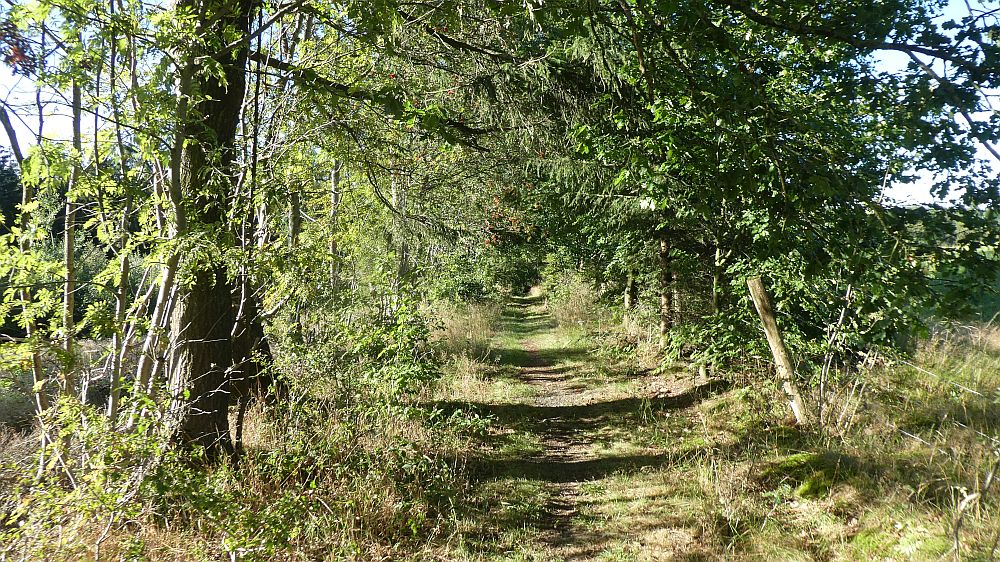 Sauerländer Waldroute