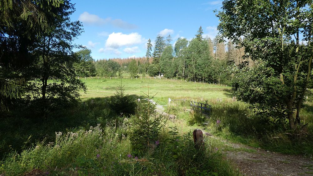 Sauerländer Waldroute