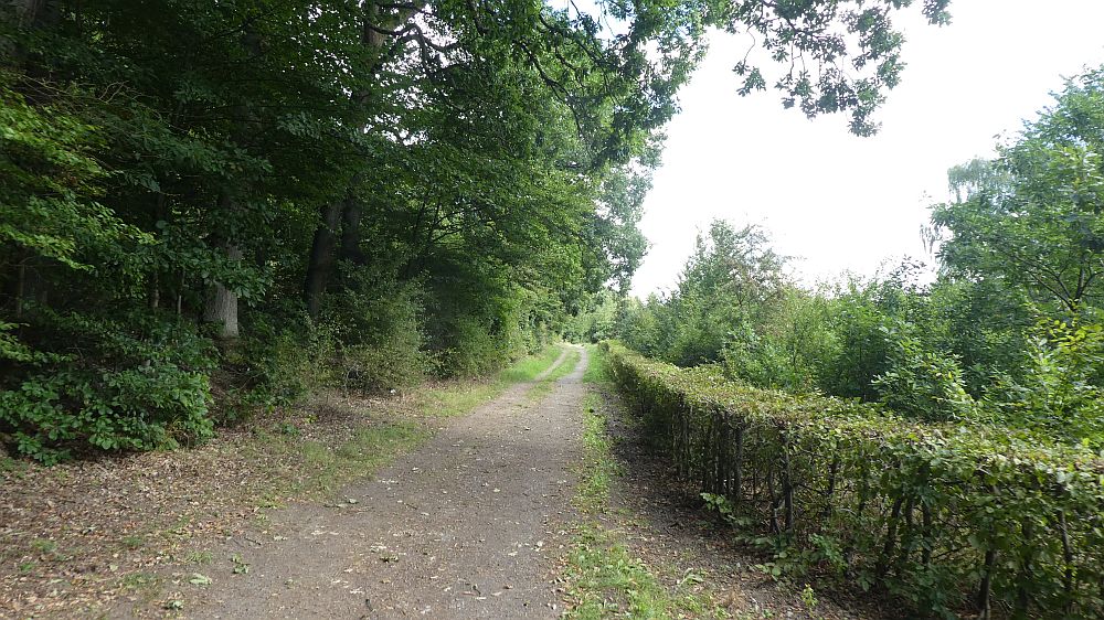 Sauerländer Waldroute
