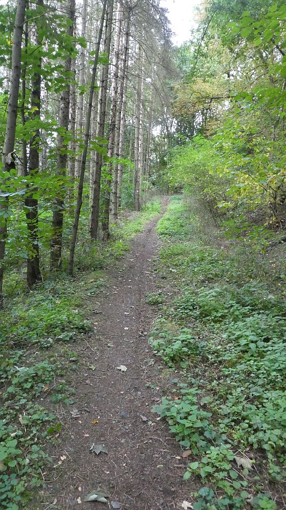Sauerländer Waldroute