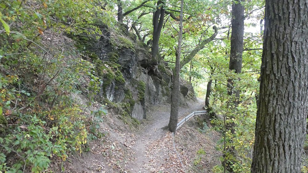 Sauerländer Waldroute