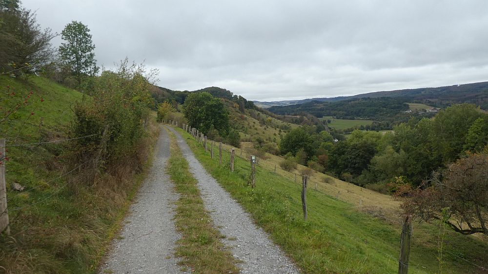 Sauerländer Waldroute