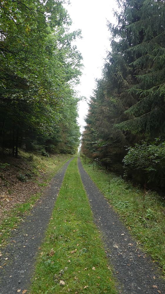 Sauerländer Waldroute