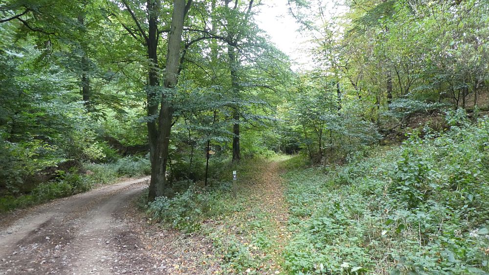 Sauerländer Waldroute