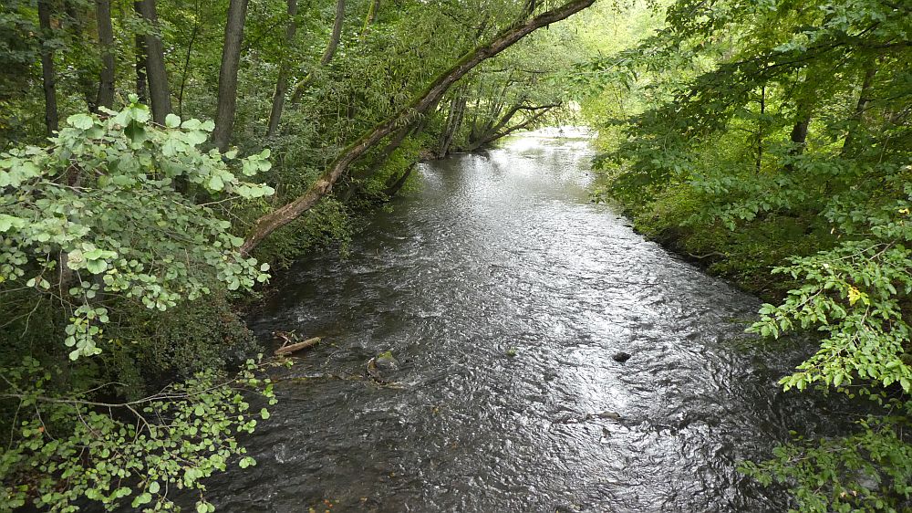 Sauerländer Waldroute