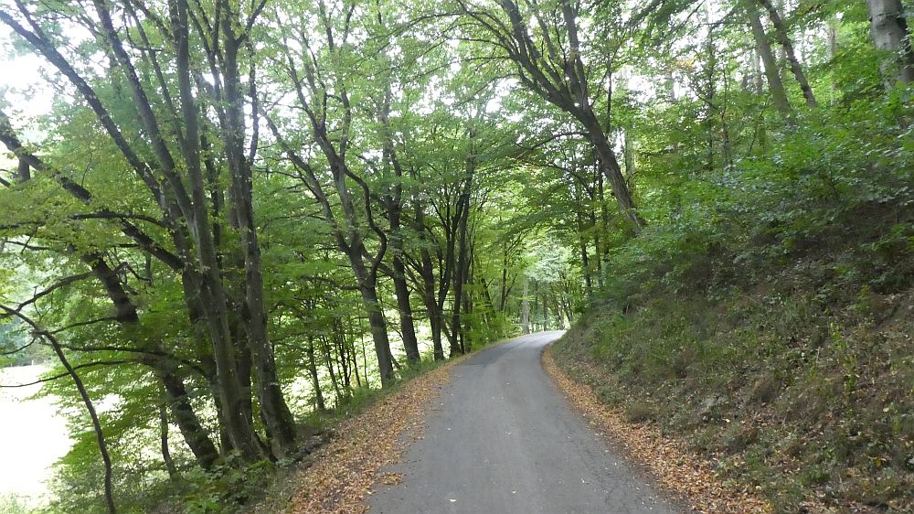 Sauerländer Waldroute