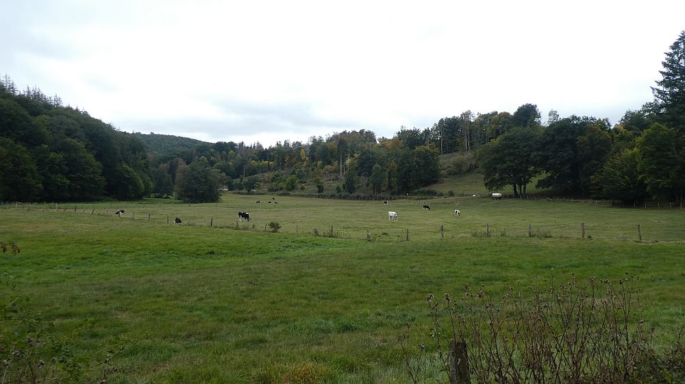 Sauerländer Waldroute