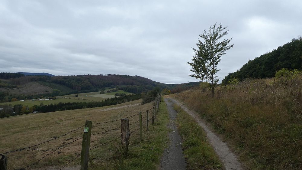Sauerländer Waldroute