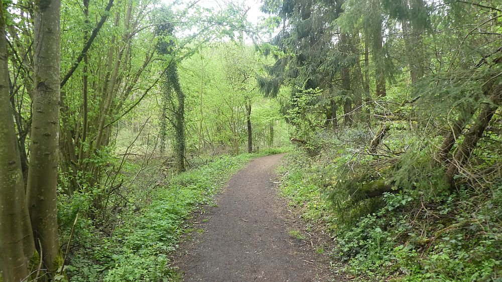 Sauerländer Waldroute